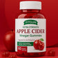 FitGum - Extra Strength Apple Cider Vinegar Gummies (Original) Product Description View description